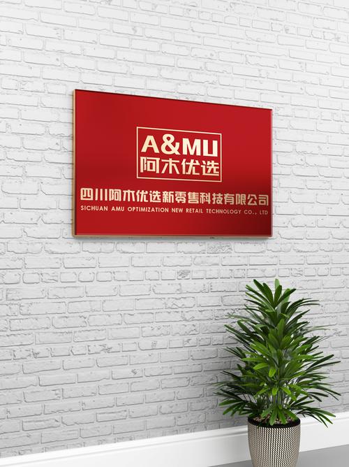 龙娟公司 聚焦软件开发与信息安全，多元业务布局开启新篇章